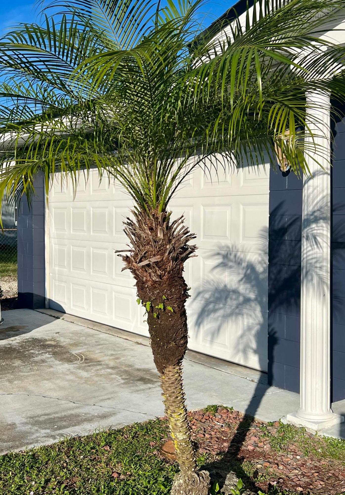 Pool House Oasis Vila Titusville Exterior foto
